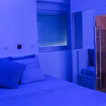 Night And Spa Loft Balneotherapie Double Wifi